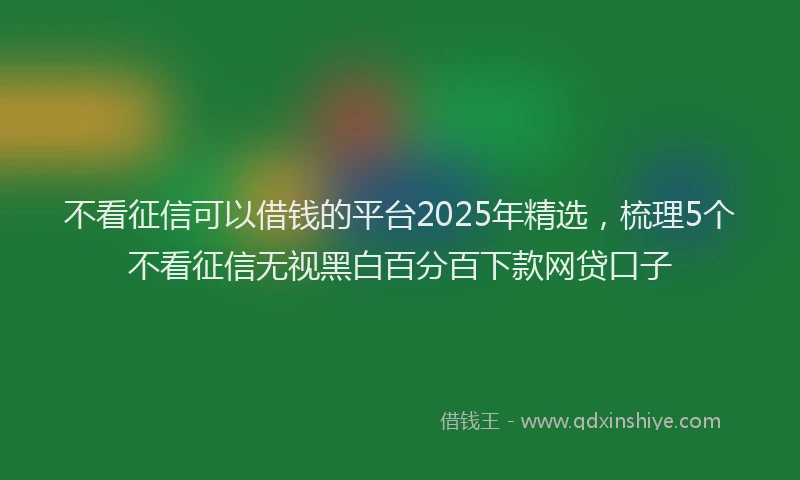 不看征信可以借钱的平台2025年精选，梳理5个不看征信无视黑白百分百下款网贷口子