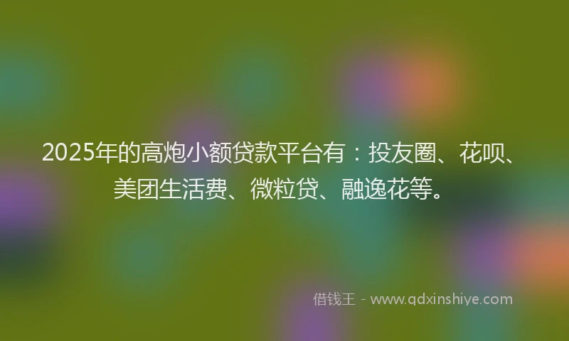 2025年的高炮小额贷款平台有：投友圈、花呗、美团生活费、微粒贷、融逸花等。