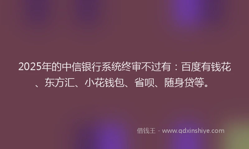 2025年的中信银行系统终审不过有：百度有钱花、东方汇、小花钱包、省呗、随身贷等。