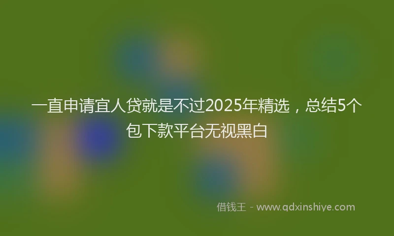 一直申请宜人贷就是不过2025年精选，总结5个包下款平台无视黑白