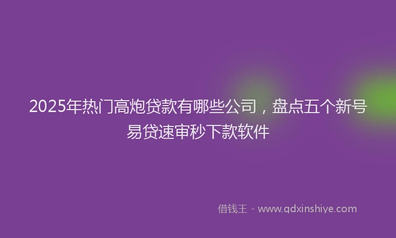 2025年热门高炮贷款有哪些公司，盘点五个新号易贷速审秒下款软件
