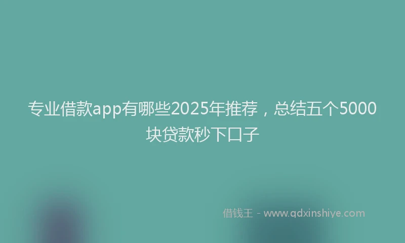 专业借款app有哪些2025年推荐，总结五个5000块贷款秒下口子