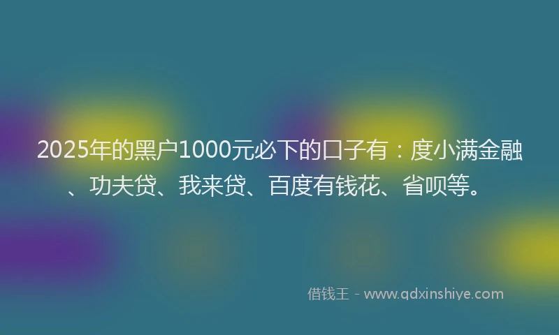 2025年的黑户1000元必下的口子有：度小满金融、功夫贷、我来贷、百度有钱花、省呗等。
