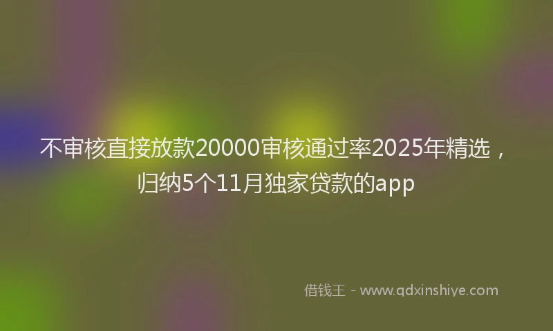 不审核直接放款20000审核通过率2025年精选，归纳5个11月独家贷款的app