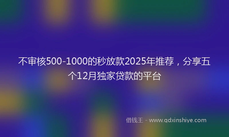 不审核500-1000的秒放款2025年推荐，分享五个12月独家贷款的平台
