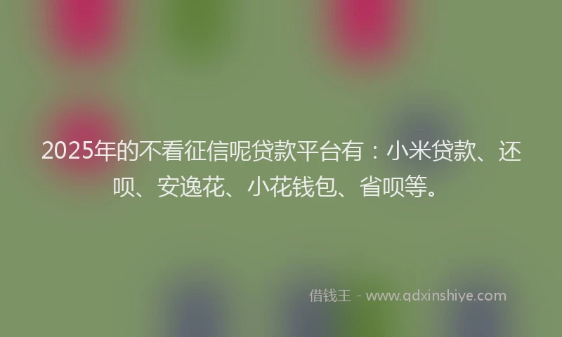 2025年的不看征信呢贷款平台有：小米贷款、还呗、安逸花、小花钱包、省呗等。