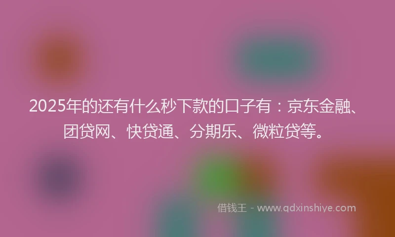 2025年的还有什么秒下款的口子有：京东金融、团贷网、快贷通、分期乐、微粒贷等。