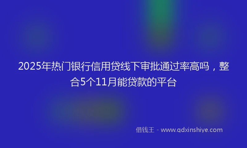 2025年热门银行信用贷线下审批通过率高吗，整合5个11月能贷款的平台