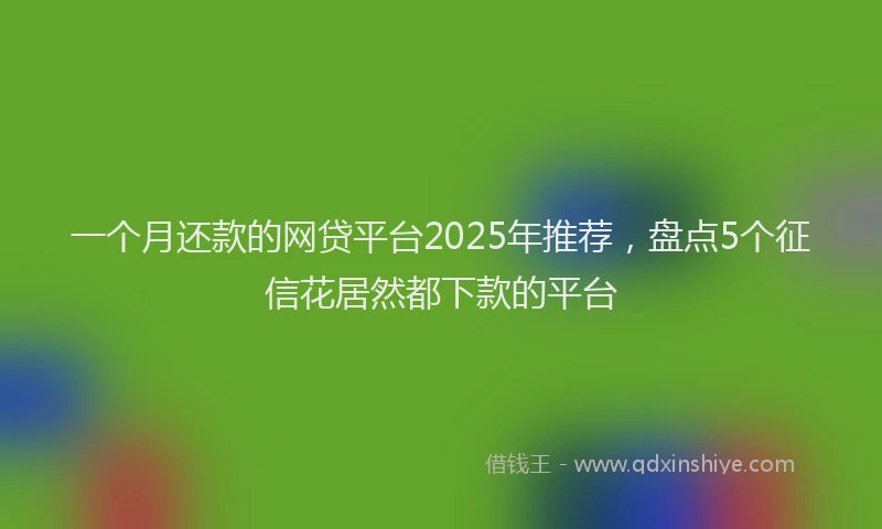 一个月还款的网贷平台2025年推荐，盘点5个征信花居然都下款的平台