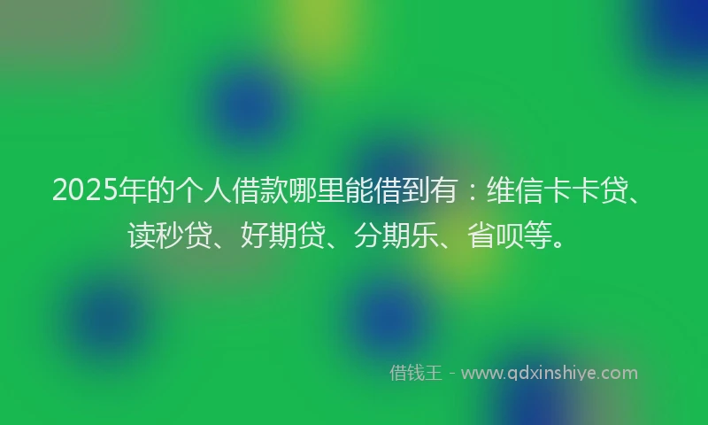 2025年的个人借款哪里能借到有：维信卡卡贷、读秒贷、好期贷、分期乐、省呗等。