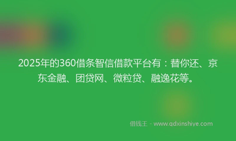2025年的360借条智信借款平台有：替你还、京东金融、团贷网、微粒贷、融逸花等。