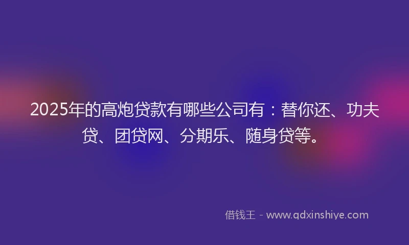 2025年的高炮贷款有哪些公司有：替你还、功夫贷、团贷网、分期乐、随身贷等。