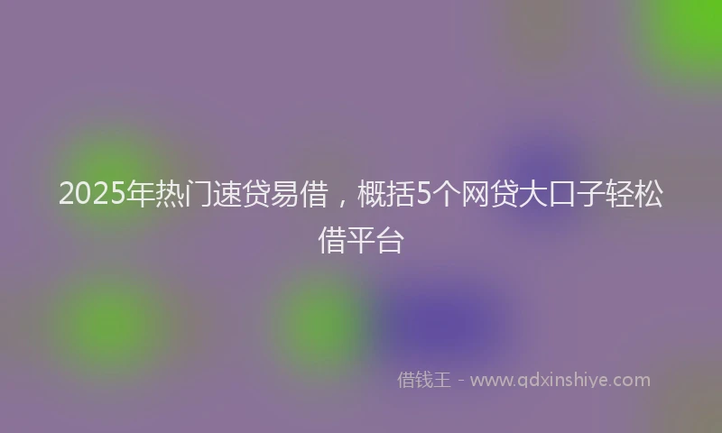 2025年热门速贷易借，概括5个网贷大口子轻松借平台