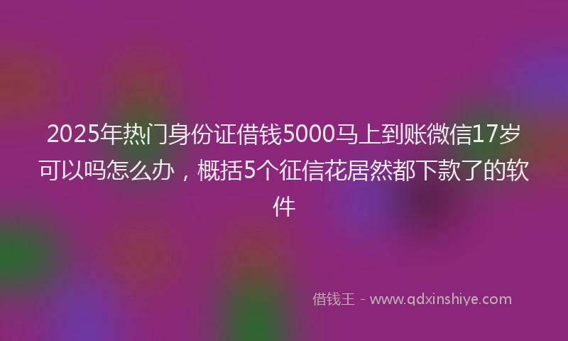 2025年热门身份证借钱5000马上到账微信17岁可以吗怎么办，概括5个征信花居然都下款了的软件