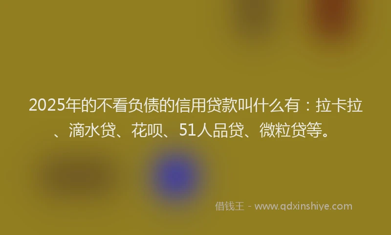 2025年的不看负债的信用贷款叫什么有：拉卡拉、滴水贷、花呗、51人品贷、微粒贷等。