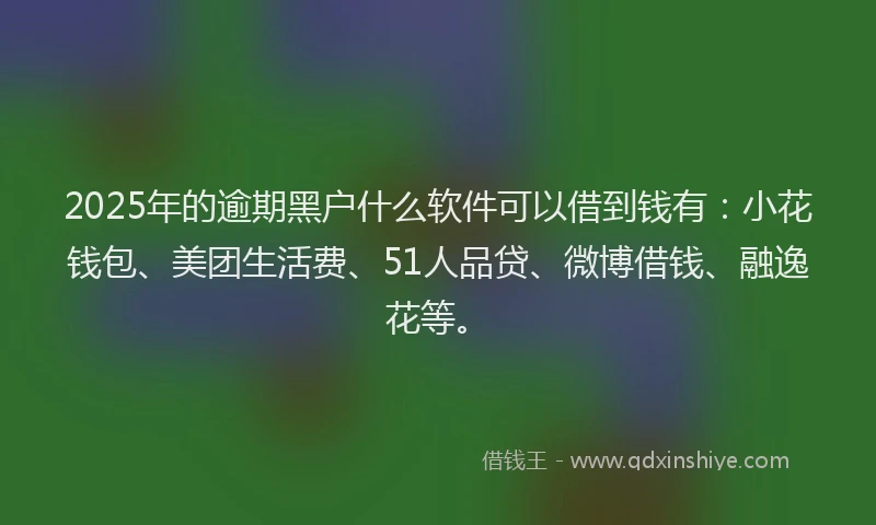 2025年的逾期黑户什么软件可以借到钱有：小花钱包、美团生活费、51人品贷、微博借钱、融逸花等。