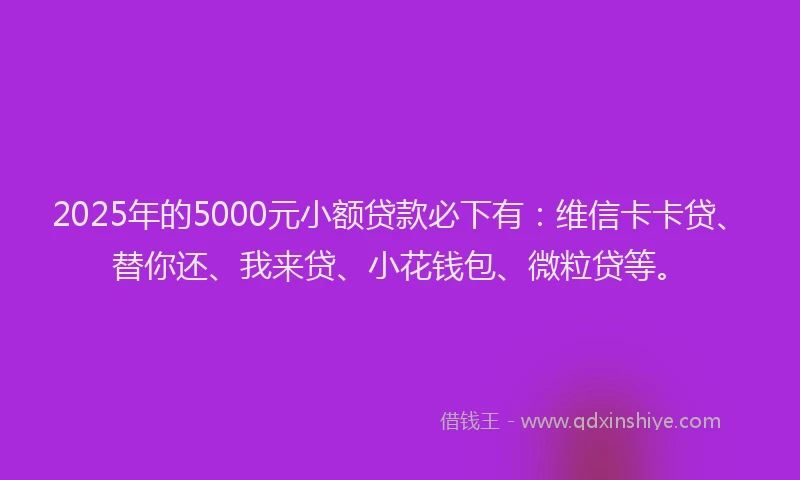 2025年的5000元小额贷款必下有：维信卡卡贷、替你还、我来贷、小花钱包、微粒贷等。