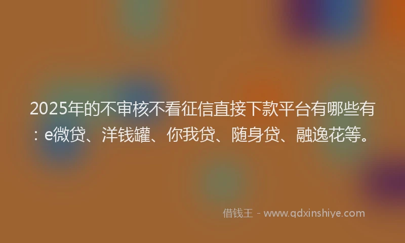 2025年的不审核不看征信直接下款平台有哪些有：e微贷、洋钱罐、你我贷、随身贷、融逸花等。
