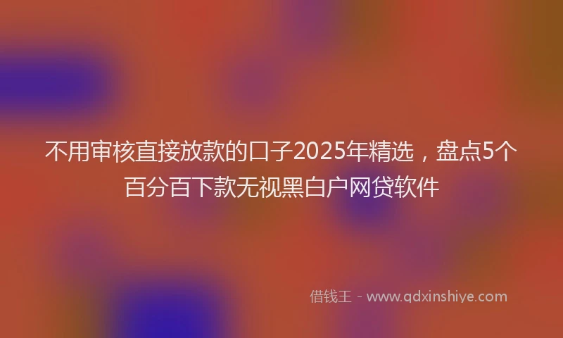 不用审核直接放款的口子2025年精选，盘点5个百分百下款无视黑白户网贷软件