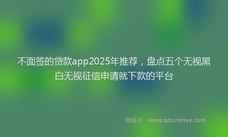 不面签的贷款app2025年推荐，盘点五个无视黑白无视征信申请就下款的平台
