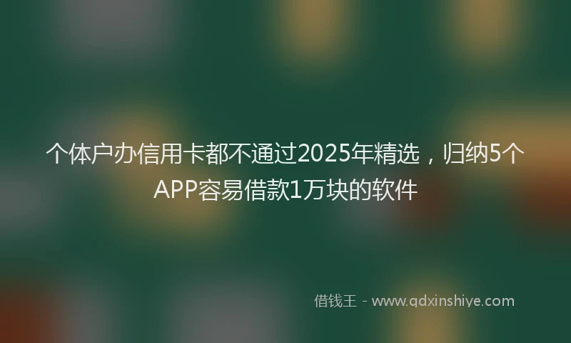 个体户办信用卡都不通过2025年精选，归纳5个APP容易借款1万块的软件