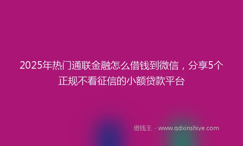 2025年热门通联金融怎么借钱到微信，分享5个正规不看征信的小额贷款平台