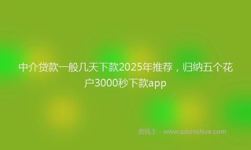 中介贷款一般几天下款2025年推荐，归纳五个花户3000秒下款app