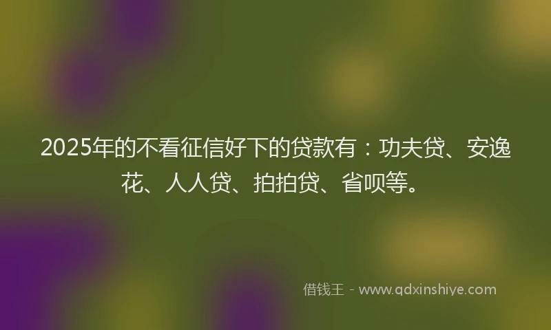 2025年的不看征信好下的贷款有：功夫贷、安逸花、人人贷、拍拍贷、省呗等。