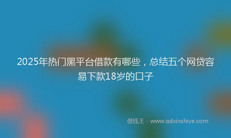 2025年热门黑平台借款有哪些，总结五个网贷容易下款18岁的口子