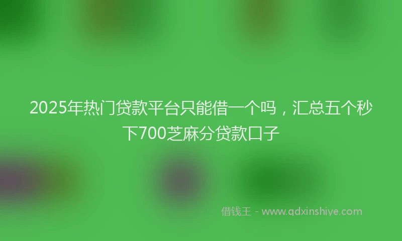 2025年热门贷款平台只能借一个吗，汇总五个秒下700芝麻分贷款口子