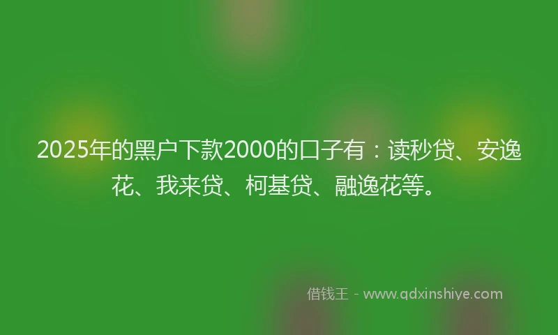 2025年的黑户下款2000的口子有：读秒贷、安逸花、我来贷、柯基贷、融逸花等。