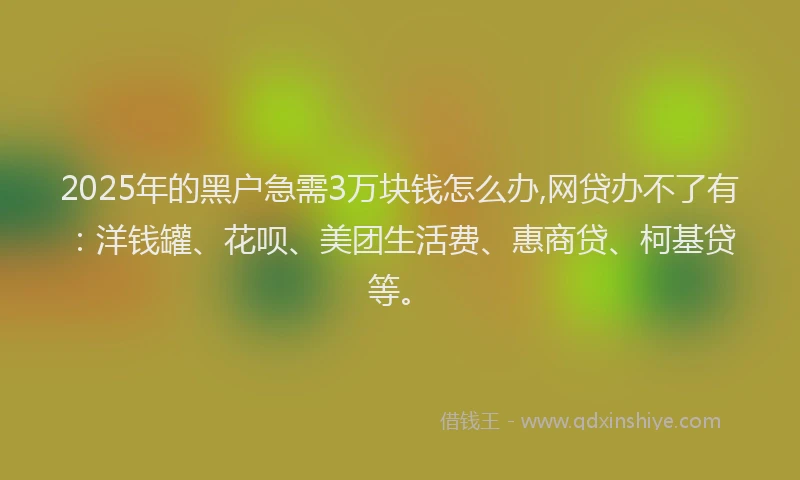 2025年的黑户急需3万块钱怎么办,网贷办不了有：洋钱罐、花呗、美团生活费、惠商贷、柯基贷等。
