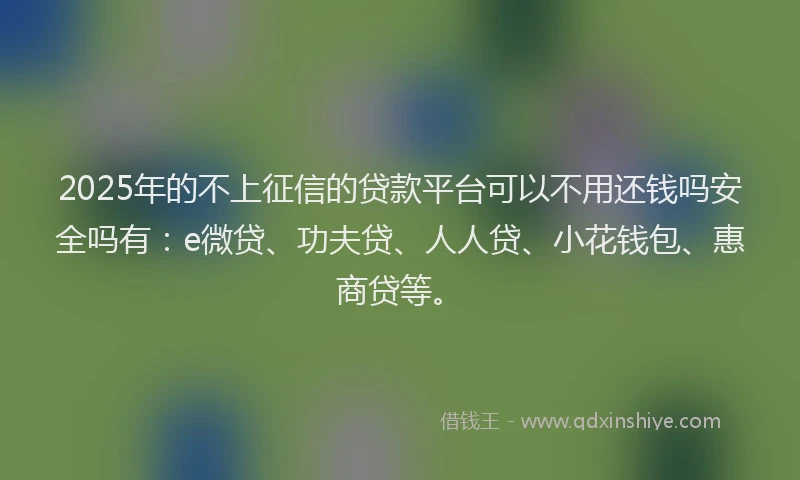2025年的不上征信的贷款平台可以不用还钱吗安全吗有：e微贷、功夫贷、人人贷、小花钱包、惠商贷等。