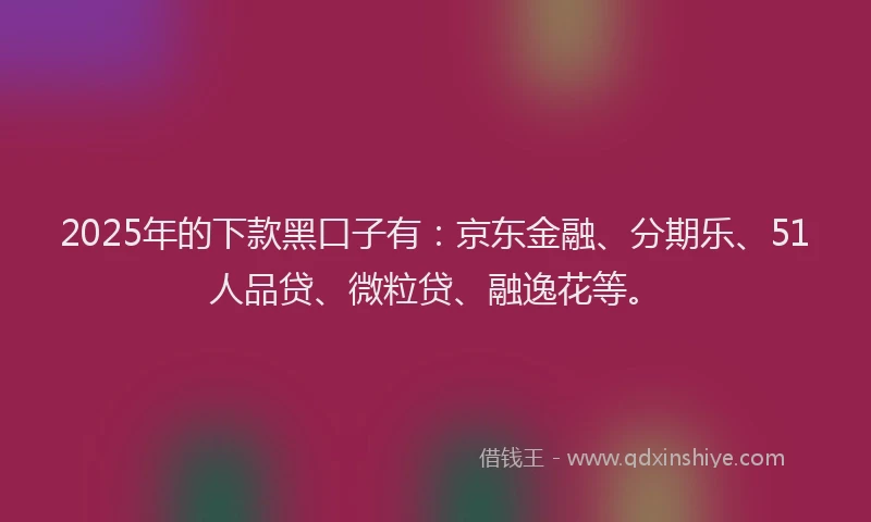 2025年的下款黑口子有：京东金融、分期乐、51人品贷、微粒贷、融逸花等。