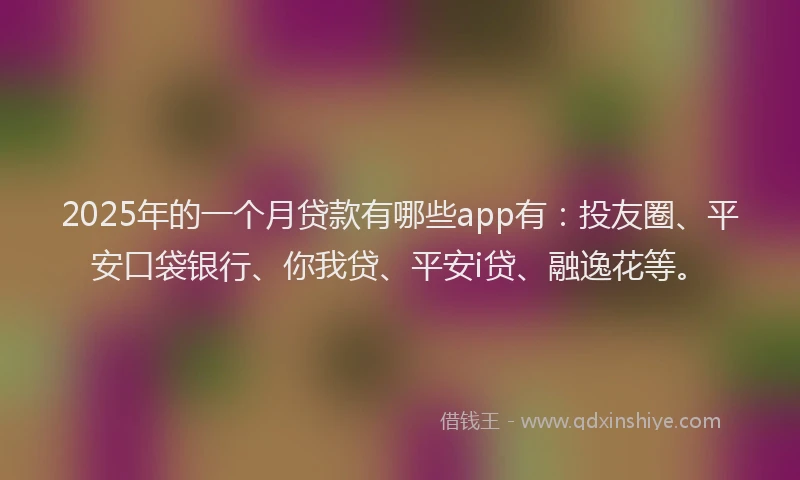 2025年的一个月贷款有哪些app有：投友圈、平安口袋银行、你我贷、平安i贷、融逸花等。