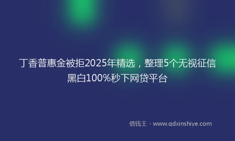 丁香普惠金被拒2025年精选，整理5个无视征信黑白100%秒下网贷平台