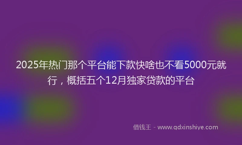 2025年热门那个平台能下款快啥也不看5000元就行，概括五个12月独家贷款的平台