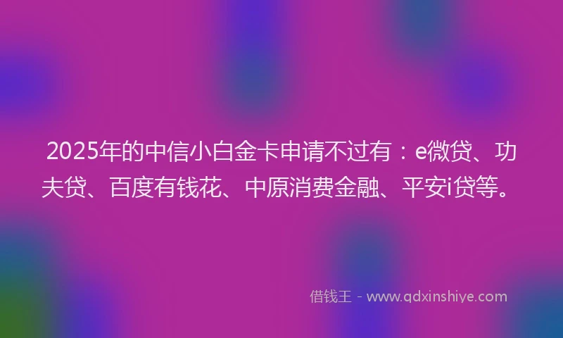 2025年的中信小白金卡申请不过有：e微贷、功夫贷、百度有钱花、中原消费金融、平安i贷等。