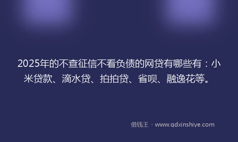 2025年的不查征信不看负债的网贷有哪些有：小米贷款、滴水贷、拍拍贷、省呗、融逸花等。