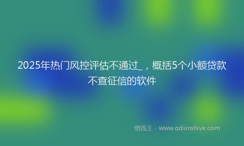 2025年热门风控评估不通过_，概括5个小额贷款不查征信的软件