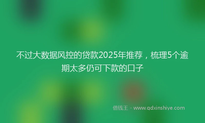 不过大数据风控的贷款2025年推荐，梳理5个逾期太多仍可下款的口子