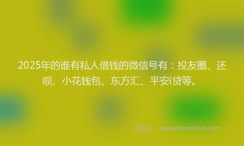 2025年的谁有私人借钱的微信号有：投友圈、还呗、小花钱包、东方汇、平安i贷等。