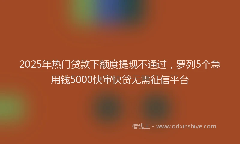 2025年热门贷款下额度提现不通过，罗列5个急用钱5000快审快贷无需征信平台
