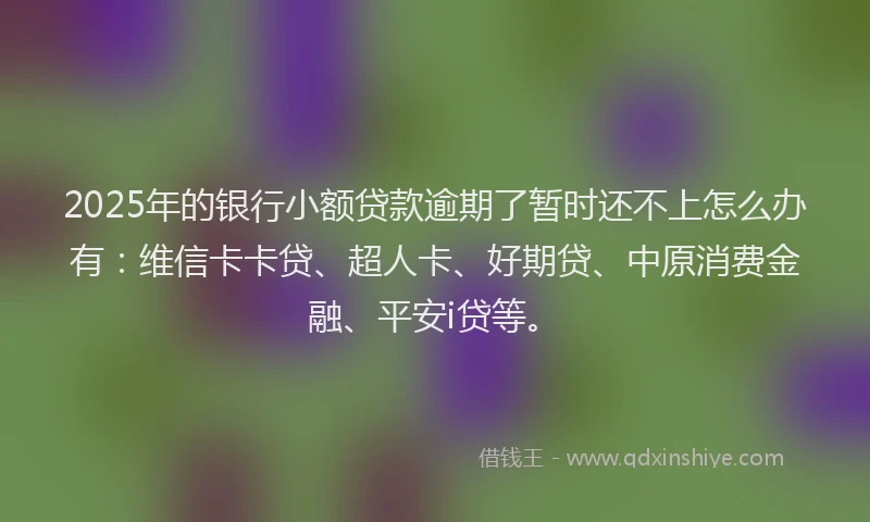 2025年的银行小额贷款逾期了暂时还不上怎么办有：维信卡卡贷、超人卡、好期贷、中原消费金融、平安i贷等。
