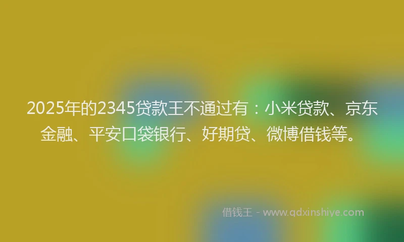 2025年的2345贷款王不通过有：小米贷款、京东金融、平安口袋银行、好期贷、微博借钱等。