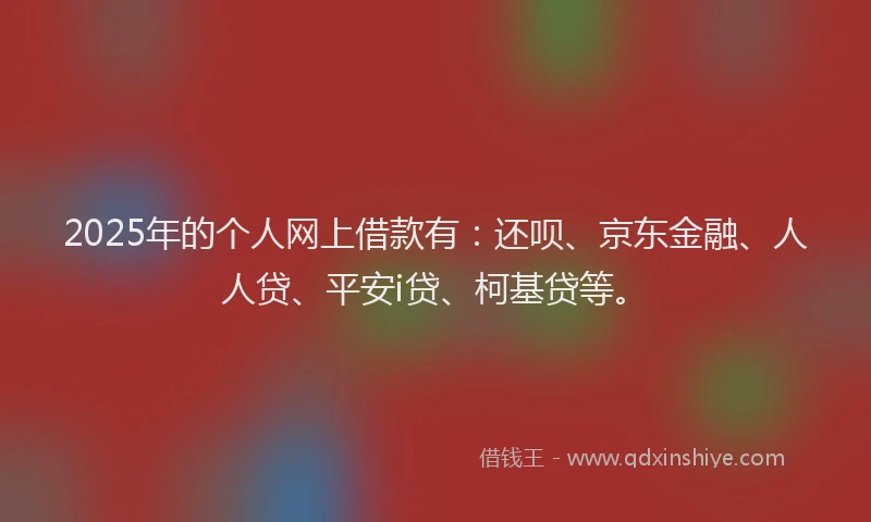 2025年的个人网上借款有：还呗、京东金融、人人贷、平安i贷、柯基贷等。