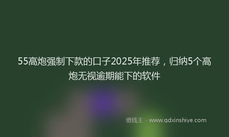 55高炮强制下款的口子2025年推荐，归纳5个高炮无视逾期能下的软件