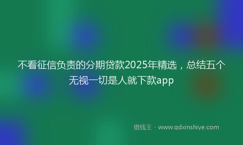 不看征信负责的分期贷款2025年精选，总结五个无视一切是人就下款app