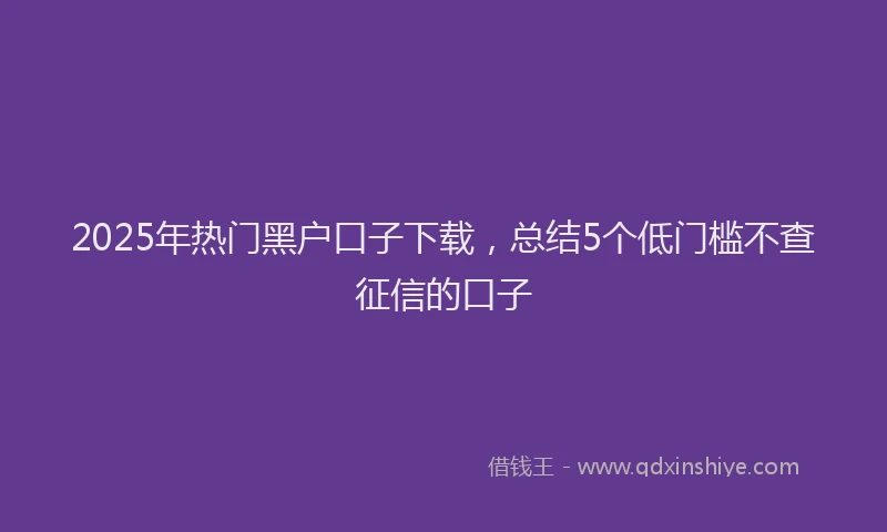 2025年热门黑户口子下载，总结5个低门槛不查征信的口子