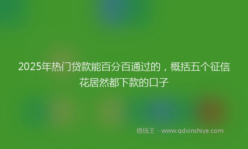 2025年热门贷款能百分百通过的，概括五个征信花居然都下款的口子